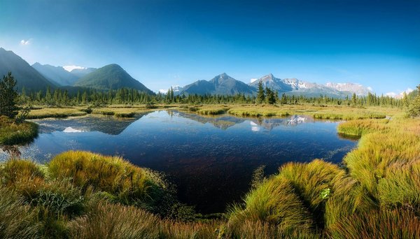 Regroupez les idées sous des thèmes pour rendre le contenu plus digeste. Assurez-vous d'inclure des conseils d'experts, des exemples et des études de cas pour rendre votre contenu plus crédible